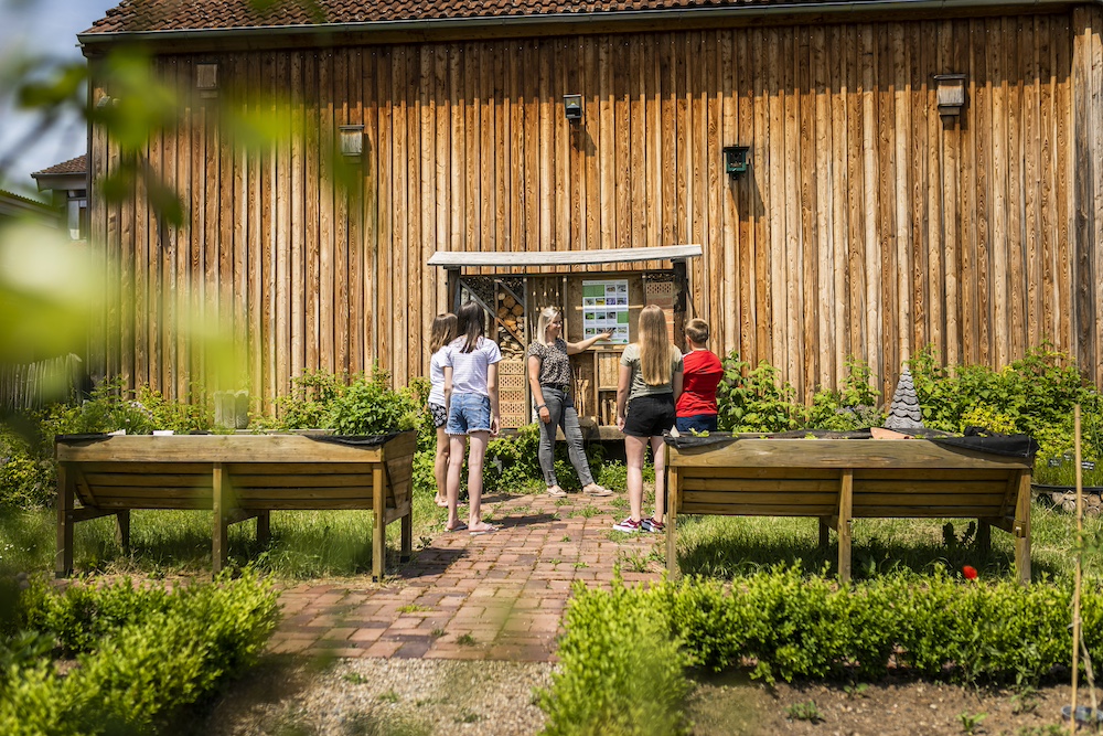 Bienengarten in der Umweltbildungsstätte Oberelsbach